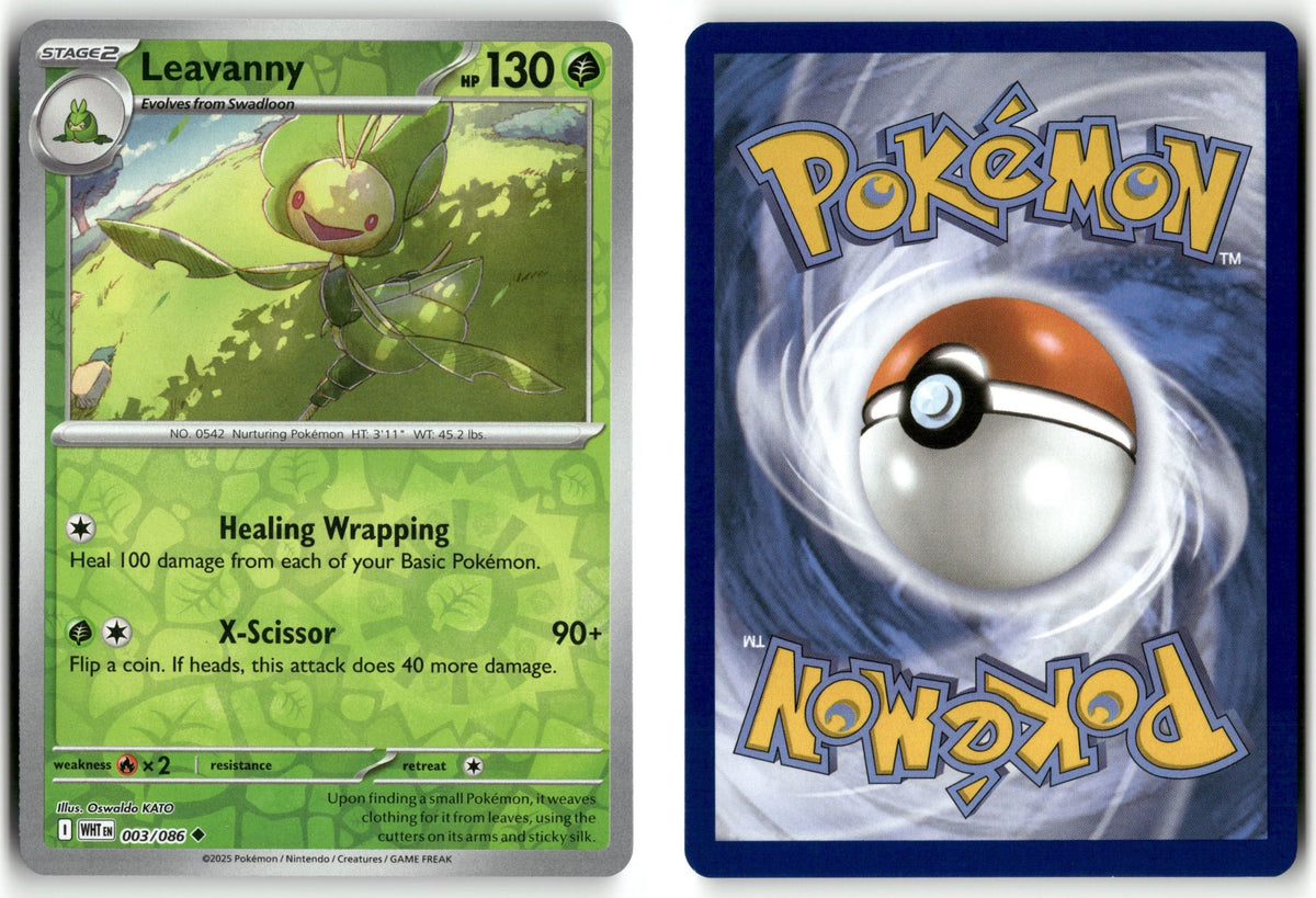 Front + Back scan