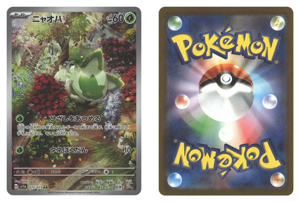 Front + Back scan | Near Mint / Japanese / Holofoil
