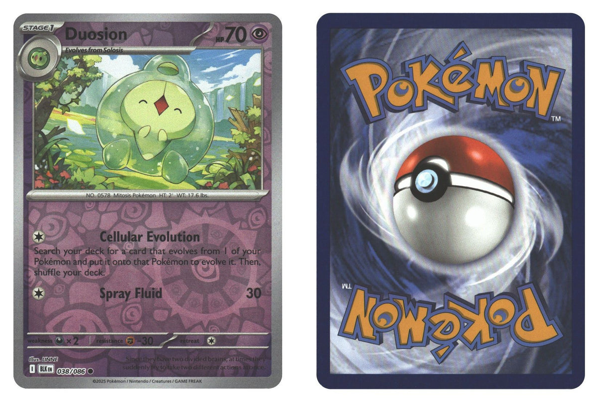 Front + Back scan | Near Mint / English / Reverse Holofoil