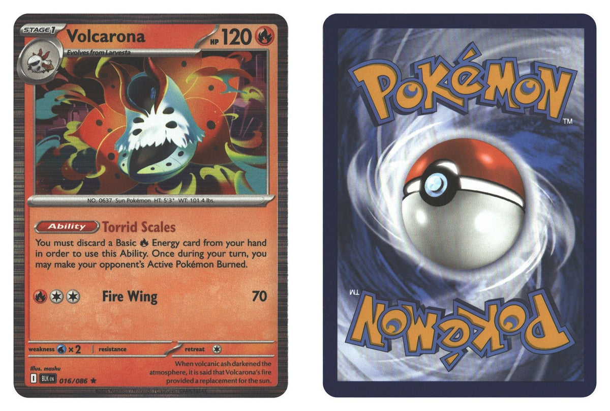 Front + Back scan | Near Mint / English / Holofoil