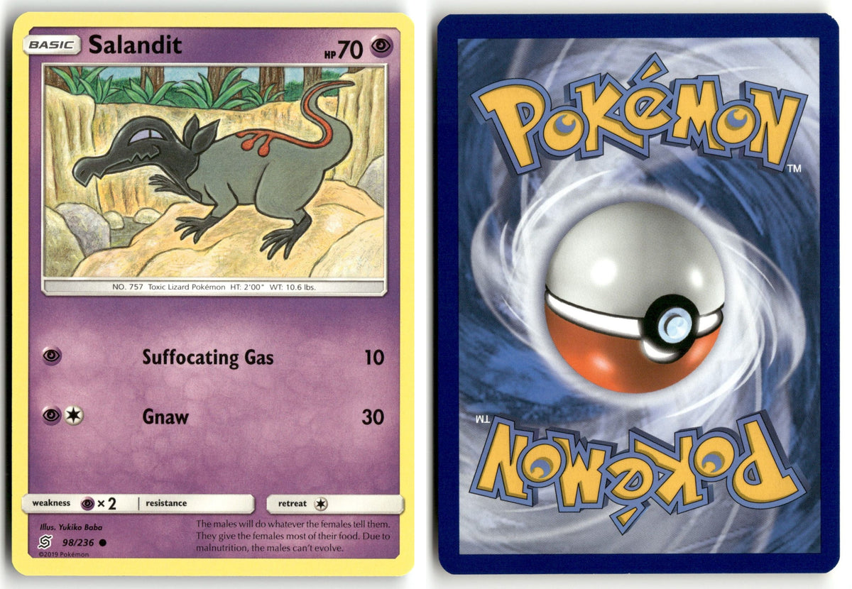 Front + Back scan | Near Mint / English / Normal