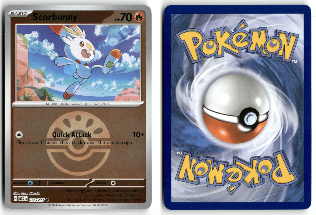 Front + Back scan | Near Mint / English / Reverse Holofoil