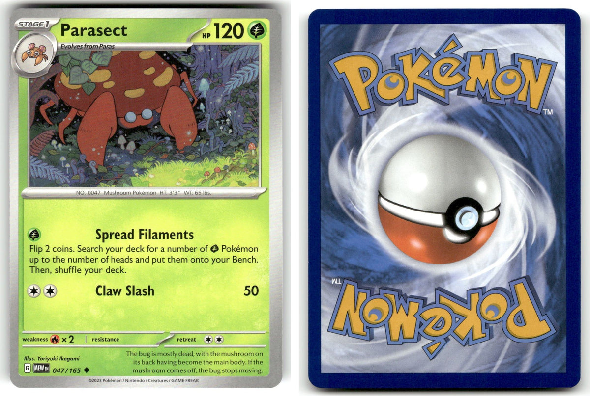 Front + Back scan | Near Mint / English / Normal