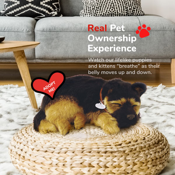 Original German Shepherd Perfect Petzzz