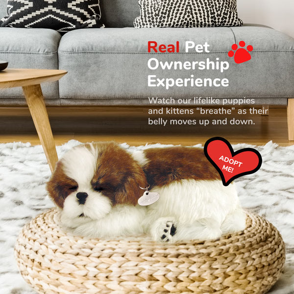 Original Shih Tzu Perfect Petzzz