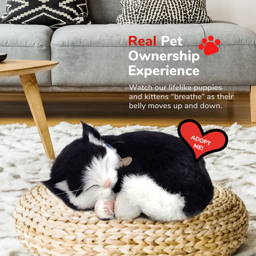 Original Black & White Kitten Perfect Petzzz