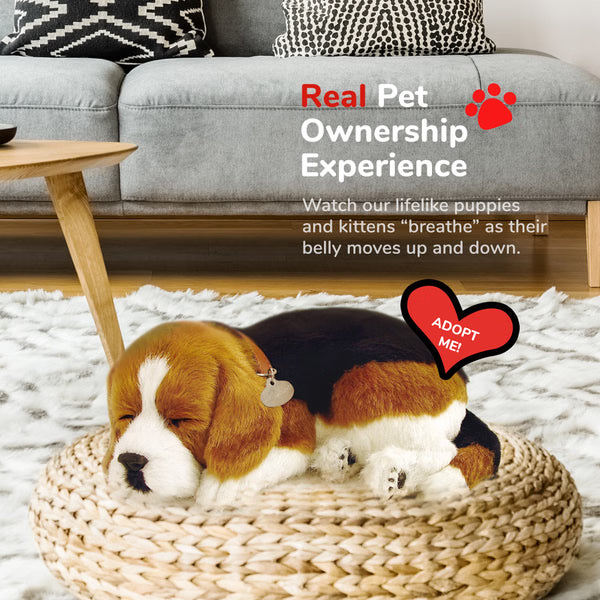 Original Beagle Perfect Petzzz