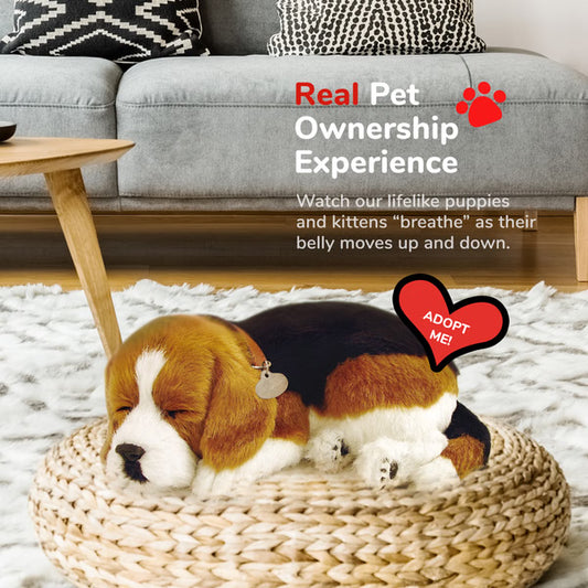 Original Beagle Perfect Petzzz