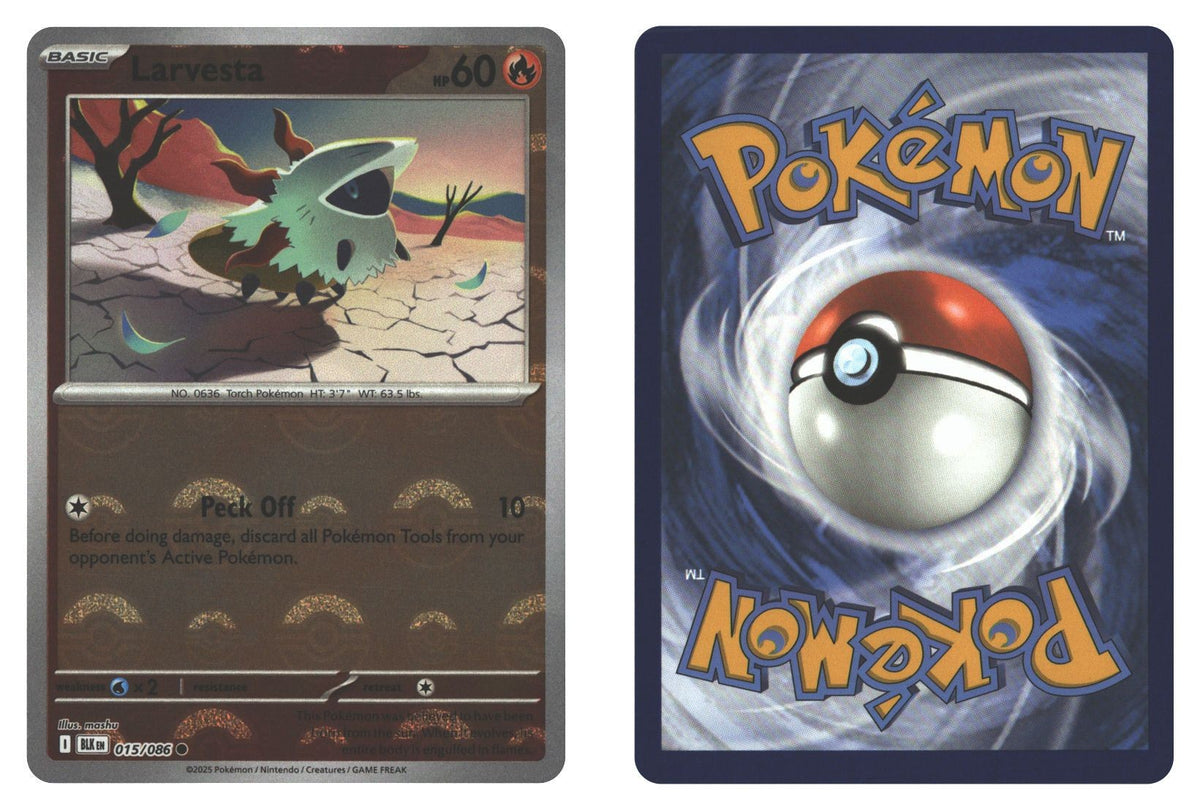 Front + Back scan | Near Mint / English / Holofoil