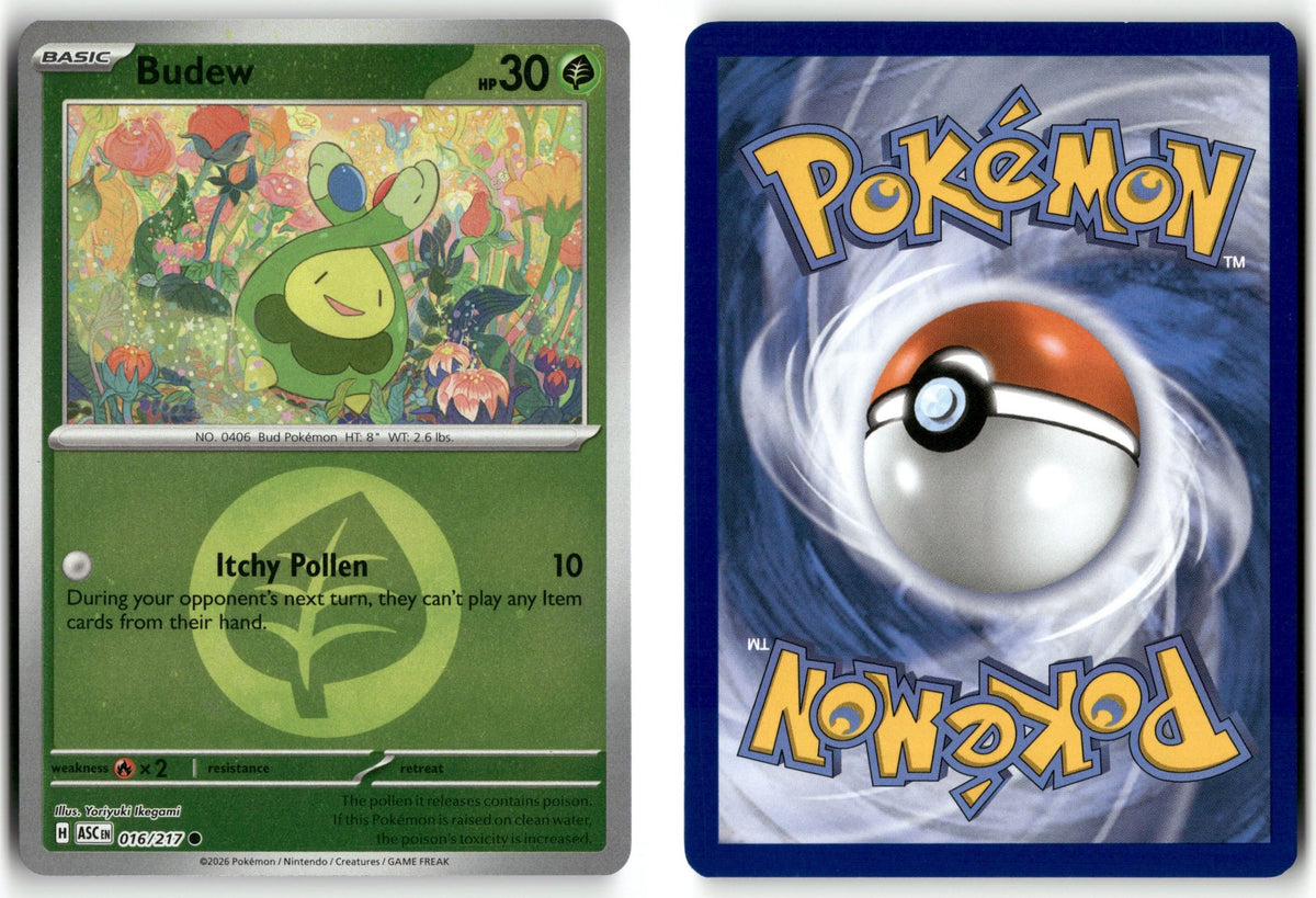 Front + Back scan | Near Mint / English / Reverse Holofoil
