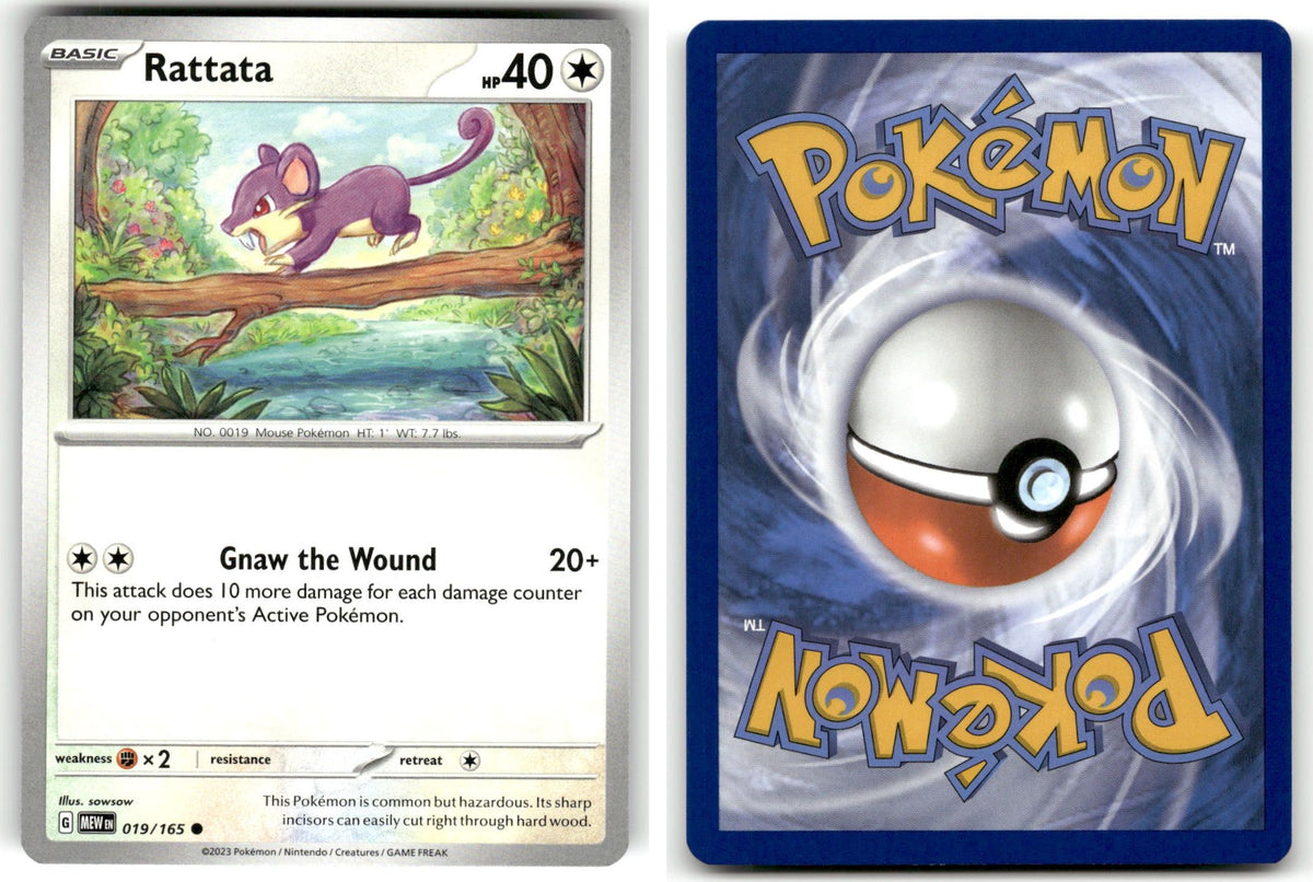 Front + Back scan | Near Mint / English / Normal