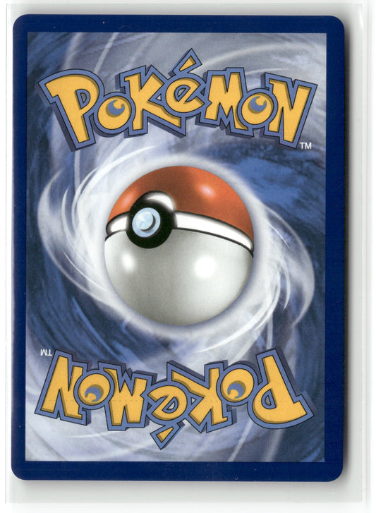 Wartortle - Illustration Rare SV: Scarlet & Violet 151 171/165 (Back)