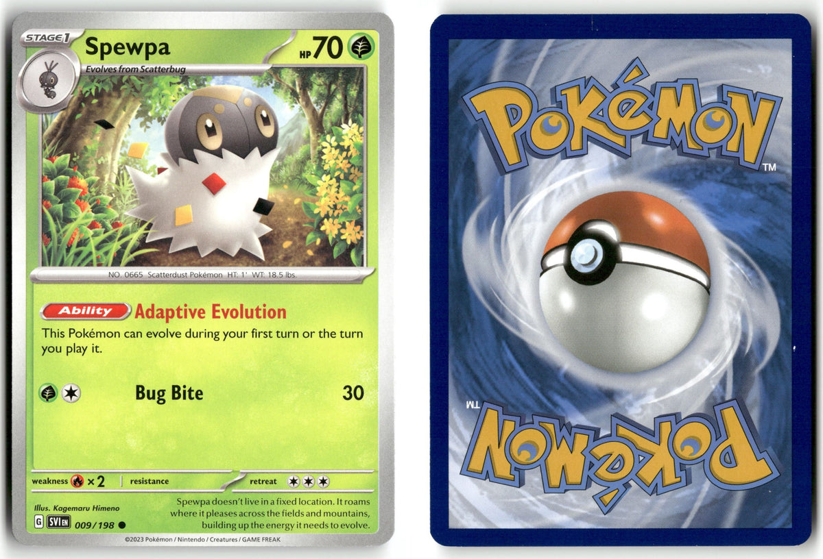 Front + Back scan | Near Mint / English / Normal