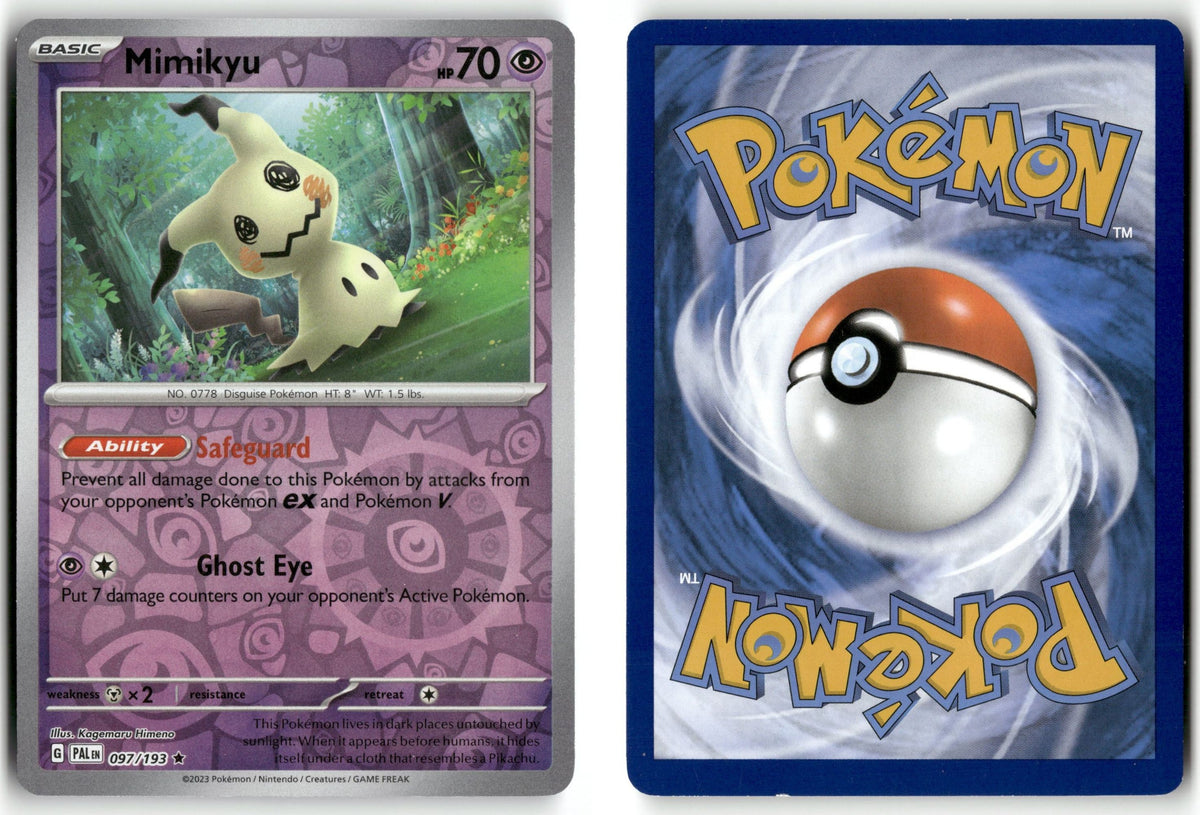 Front + Back scan