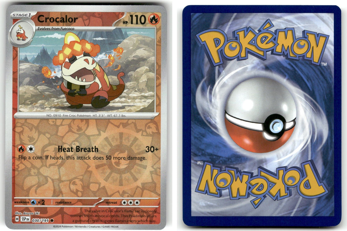 Front + Back scan | Near Mint / English / Reverse Holofoil