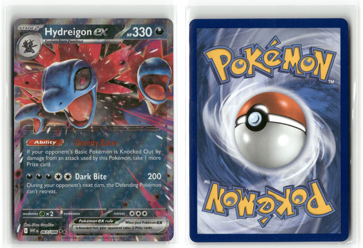 Front + Back scan
