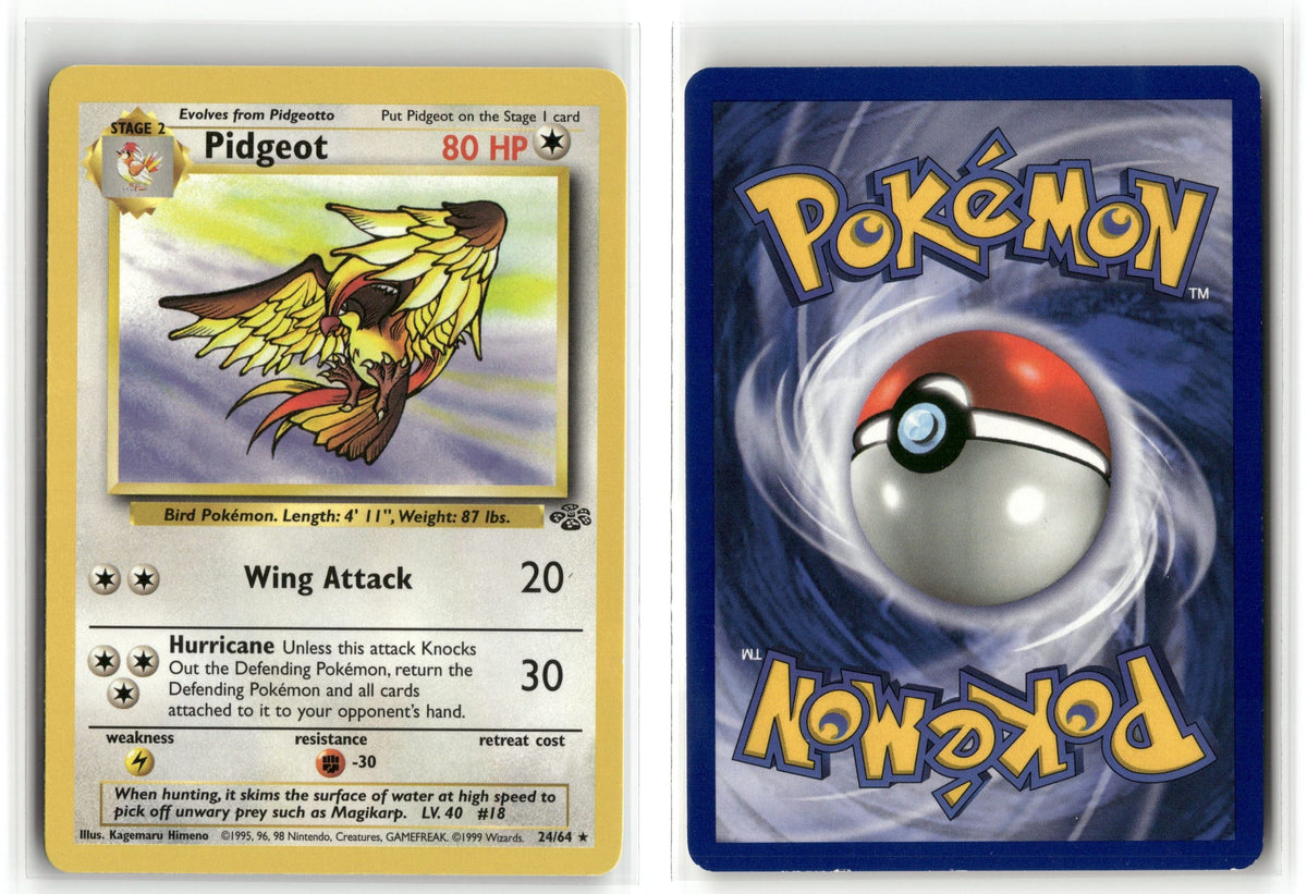 Front + Back scan