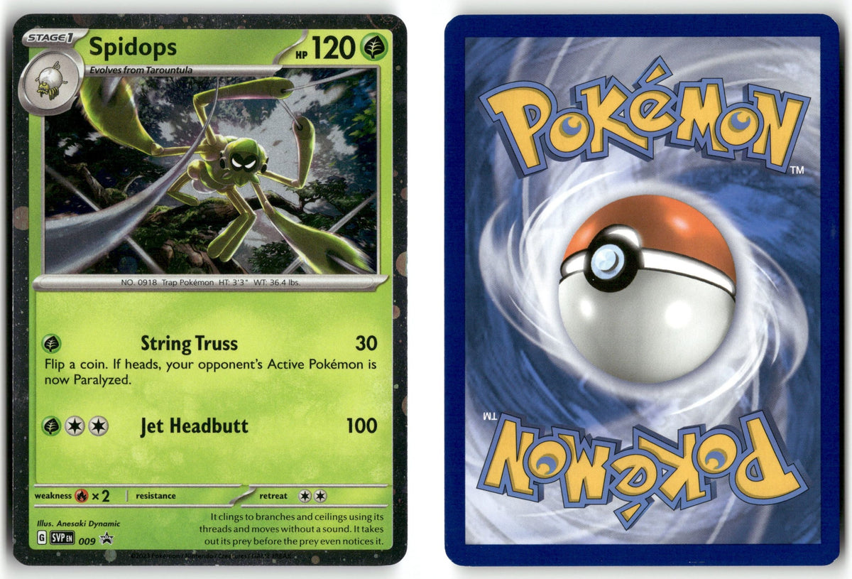 Front + Back scan