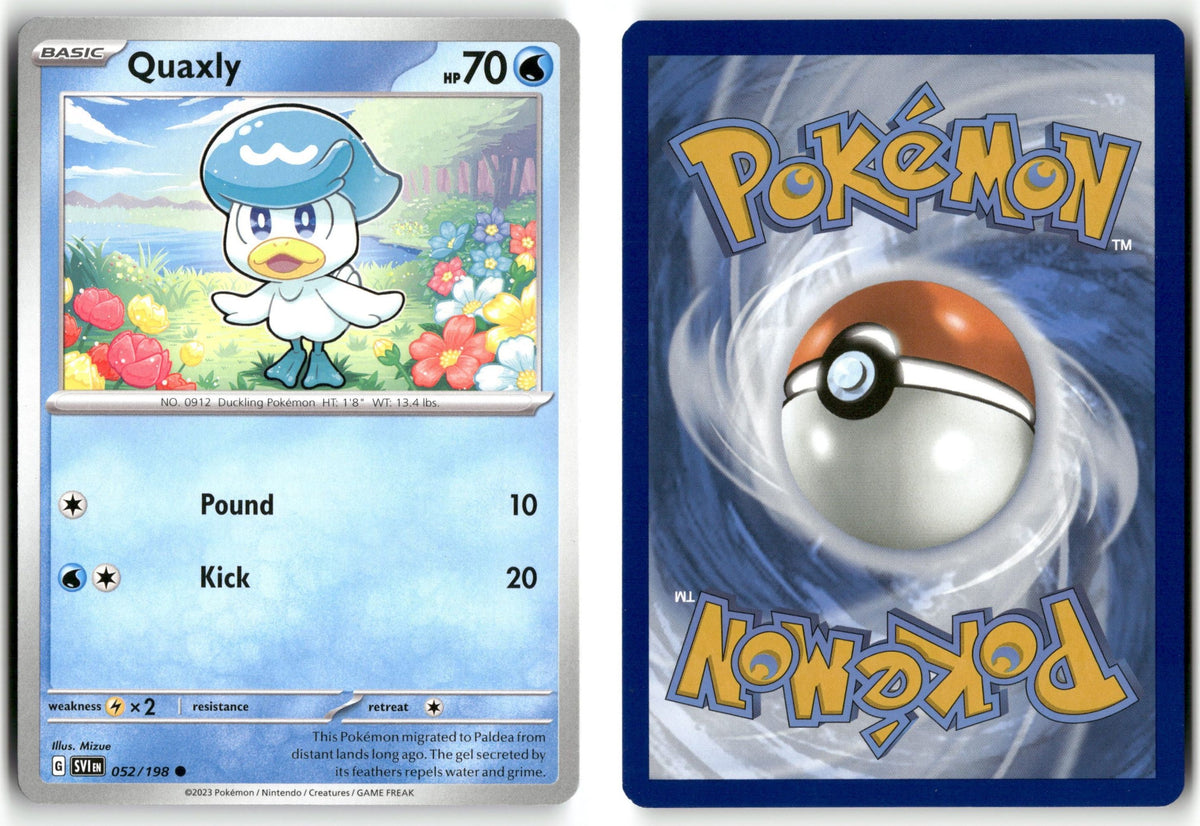 Front + Back scan | Near Mint / English / Normal