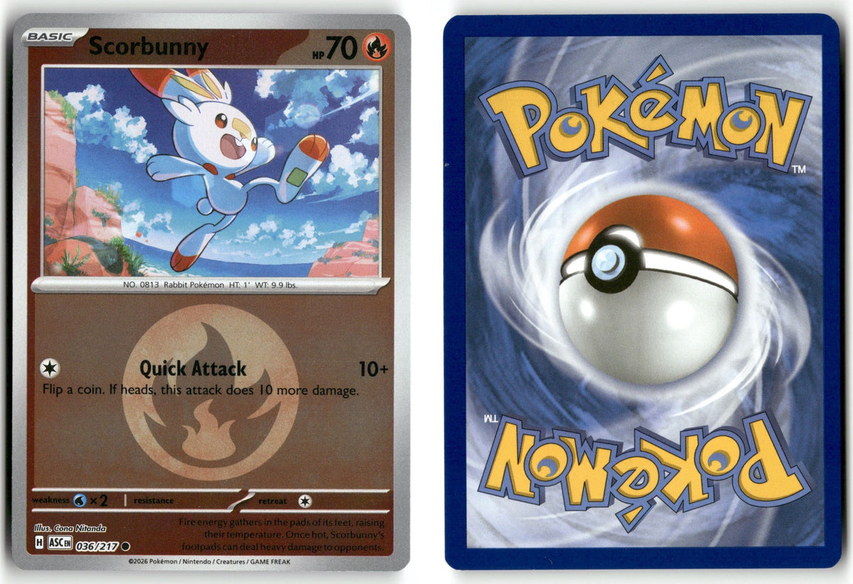 Front + Back scan | Near Mint / English / Reverse Holofoil