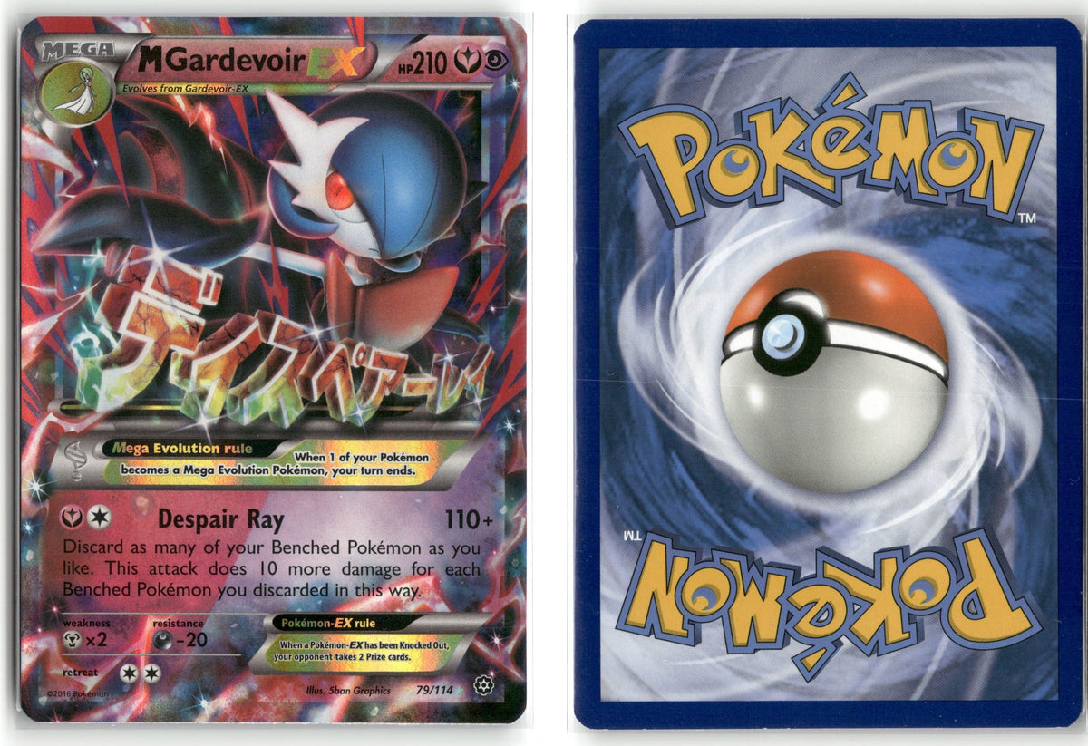 Front + Back scan