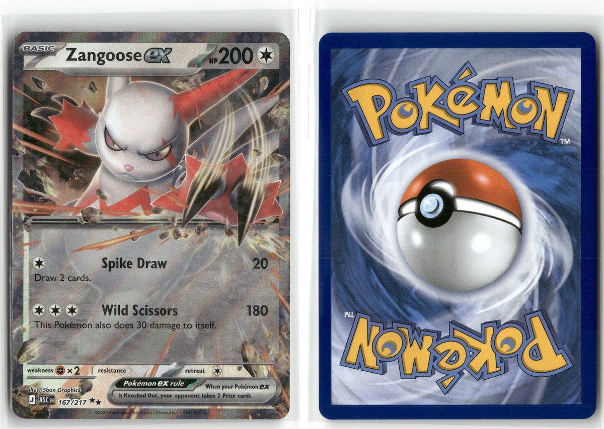 Front + Back scan