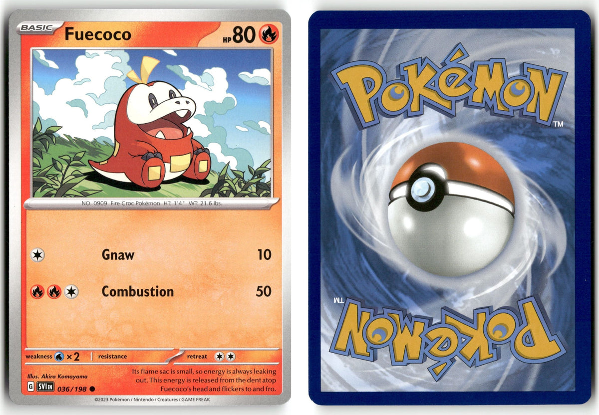 Front + Back scan | Near Mint / English / Normal
