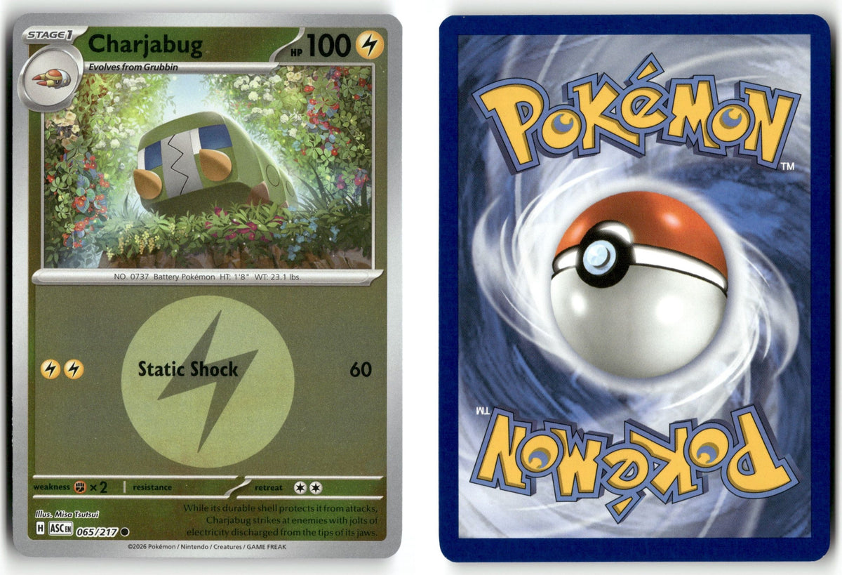 Front + Back scan | Near Mint / English / Reverse Holofoil