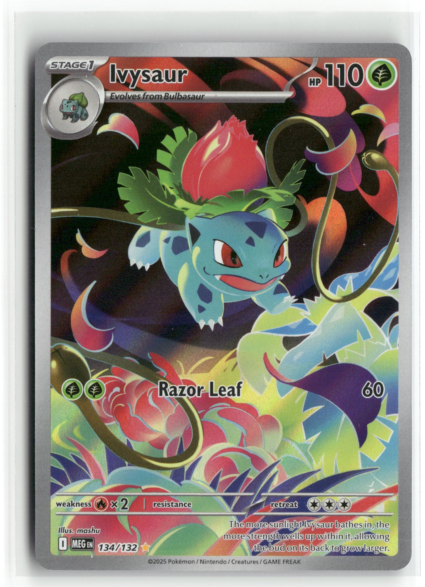 Pokemon Ivysaur 134/132 Illustration Rare 2025 ME01: Mega Evolution