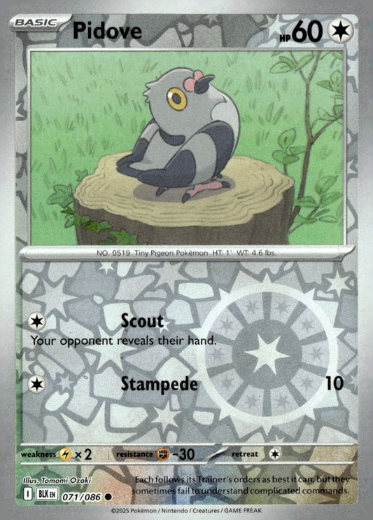 Pidove
