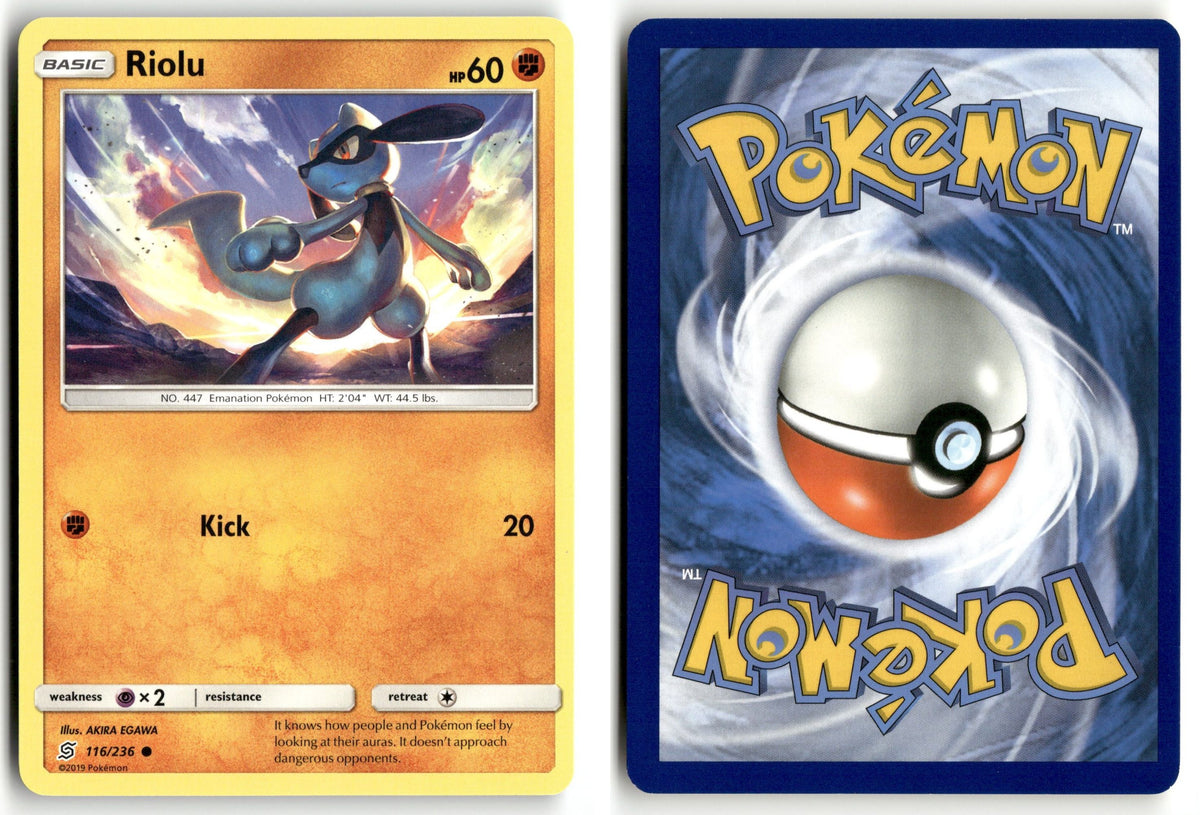 Front + Back scan | Near Mint / English / Normal