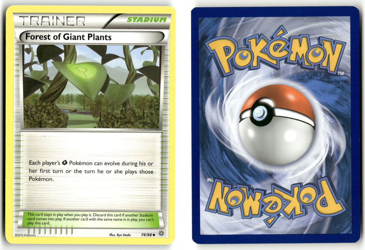 Front + Back scan | Near Mint / English / Normal