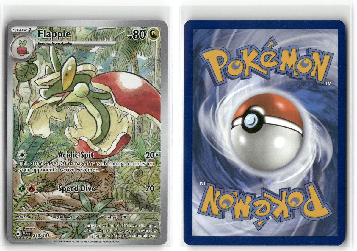 Front + Back scan