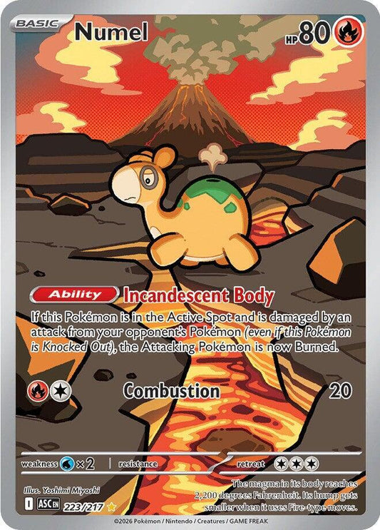 Pokemon ASC Numel 223/217 Holo