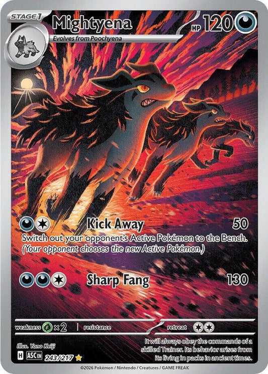 Pokemon ASC Mightyena 243/217 Holo