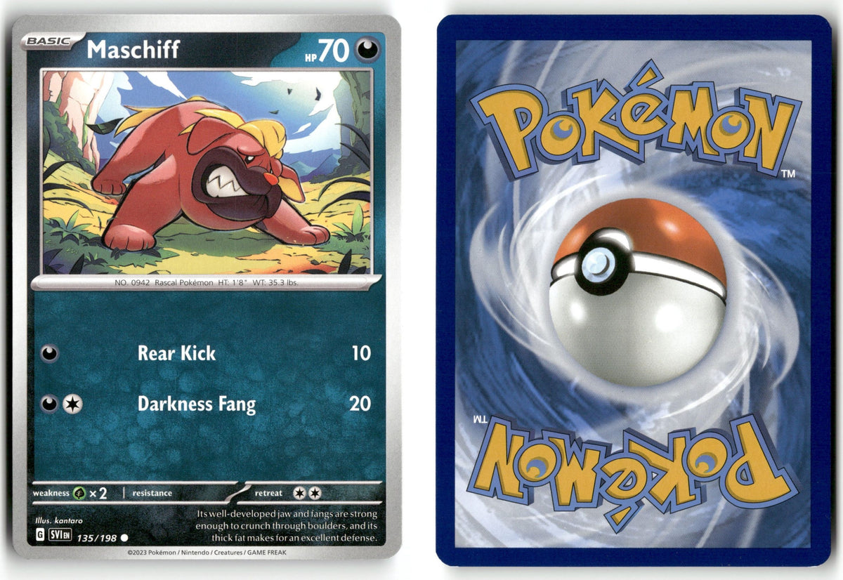 Front + Back scan | Near Mint / English / Normal