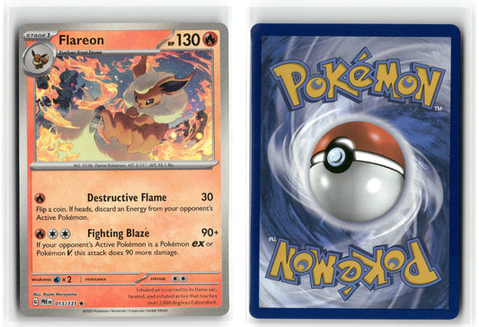 Front + Back scan