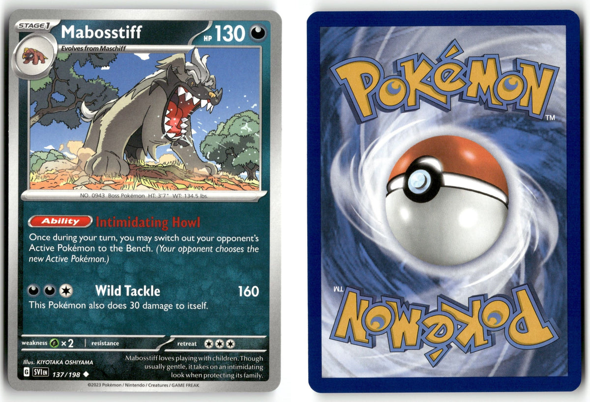 Front + Back scan | Near Mint / English / Normal
