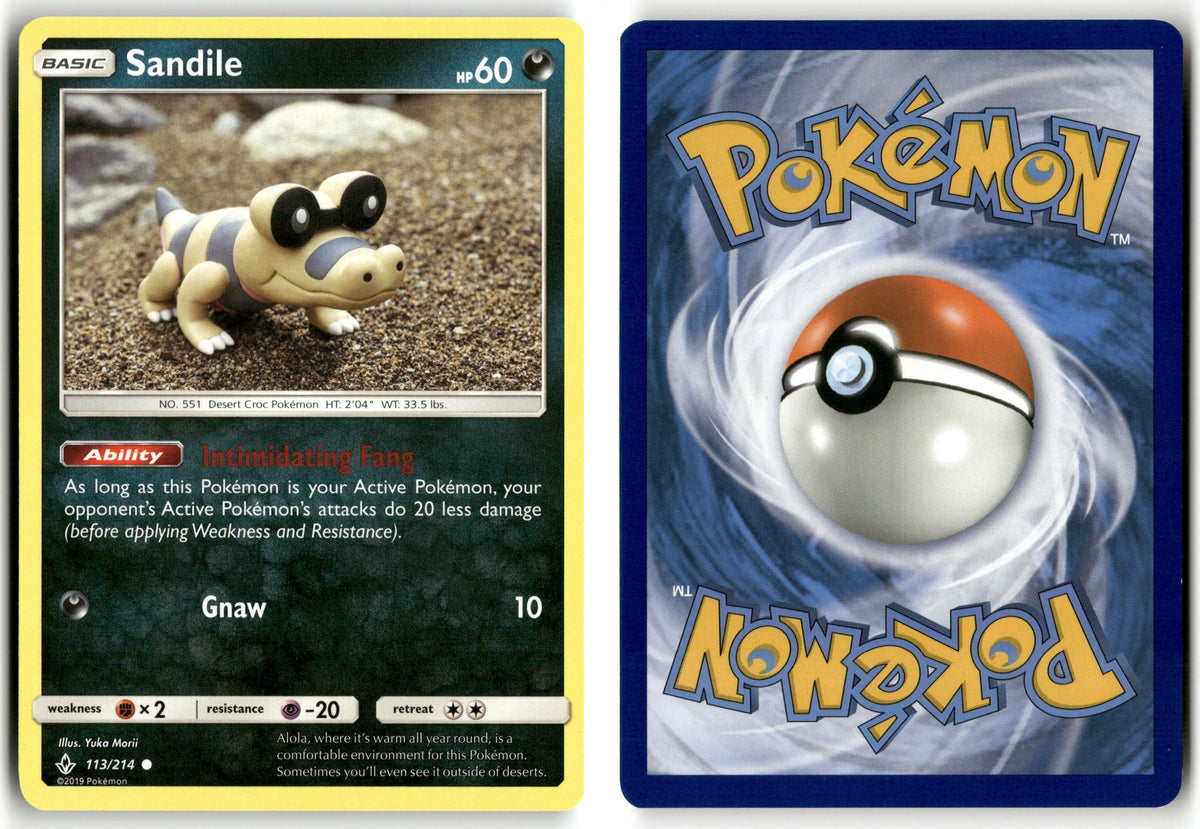 Front + Back scan