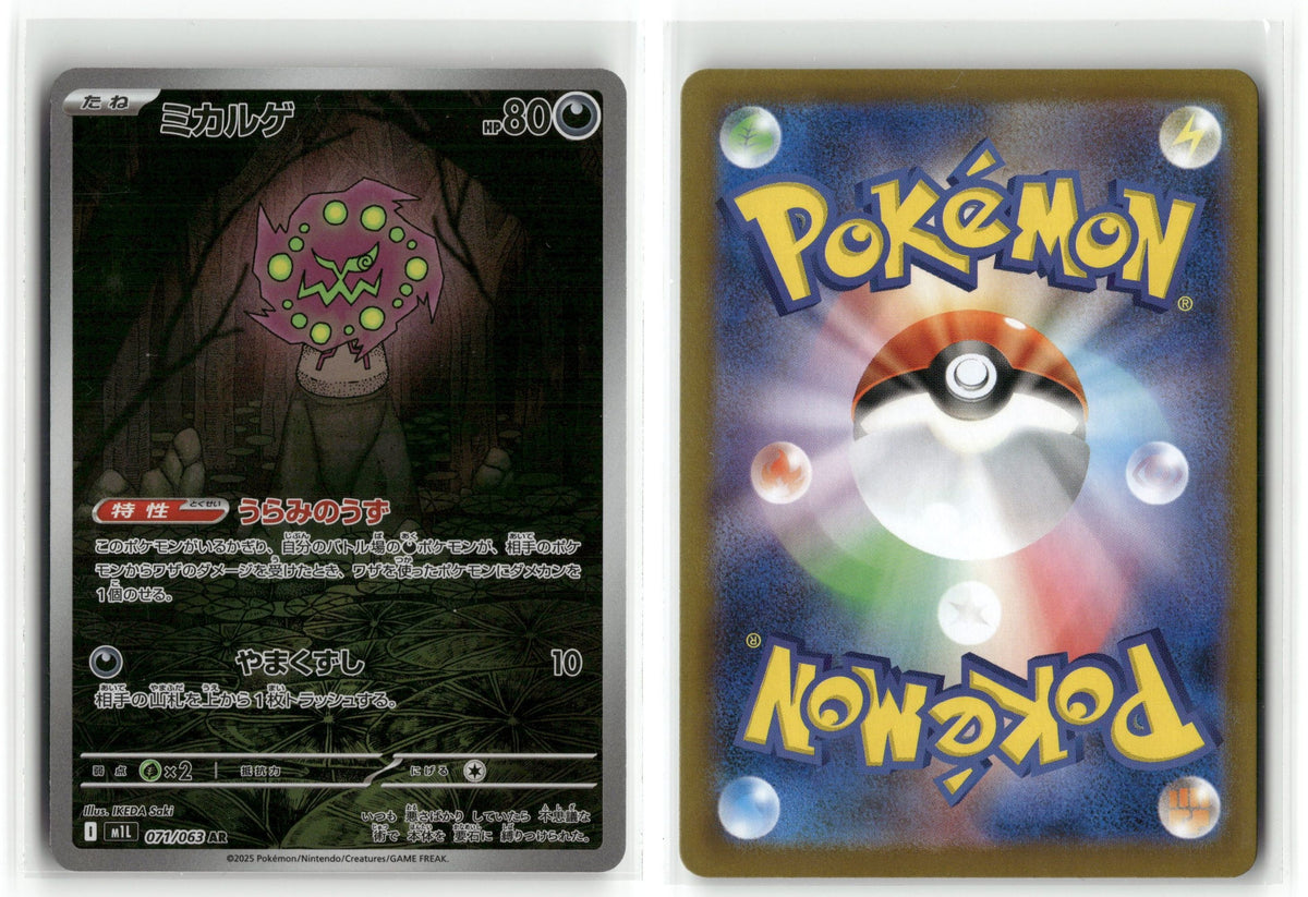 Front + Back scan