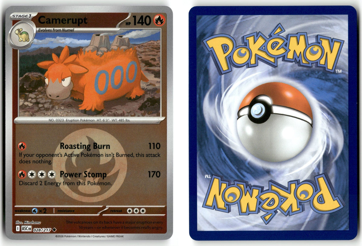 Front + Back scan | Near Mint / English / Reverse Holofoil