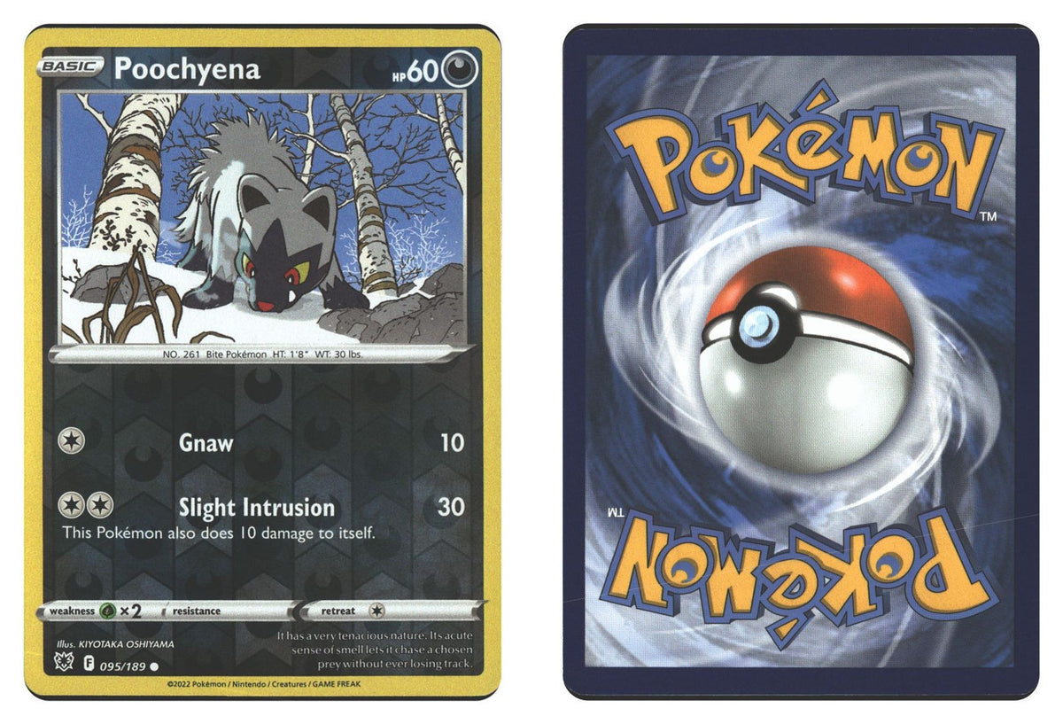 Front + Back scan | Lightly Played / English / Reverse Holofoil