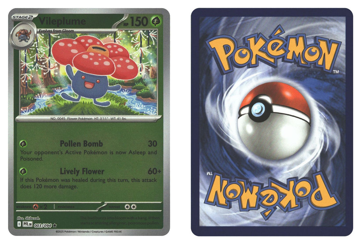 Front + Back scan | Near Mint / English / Reverse Holofoil