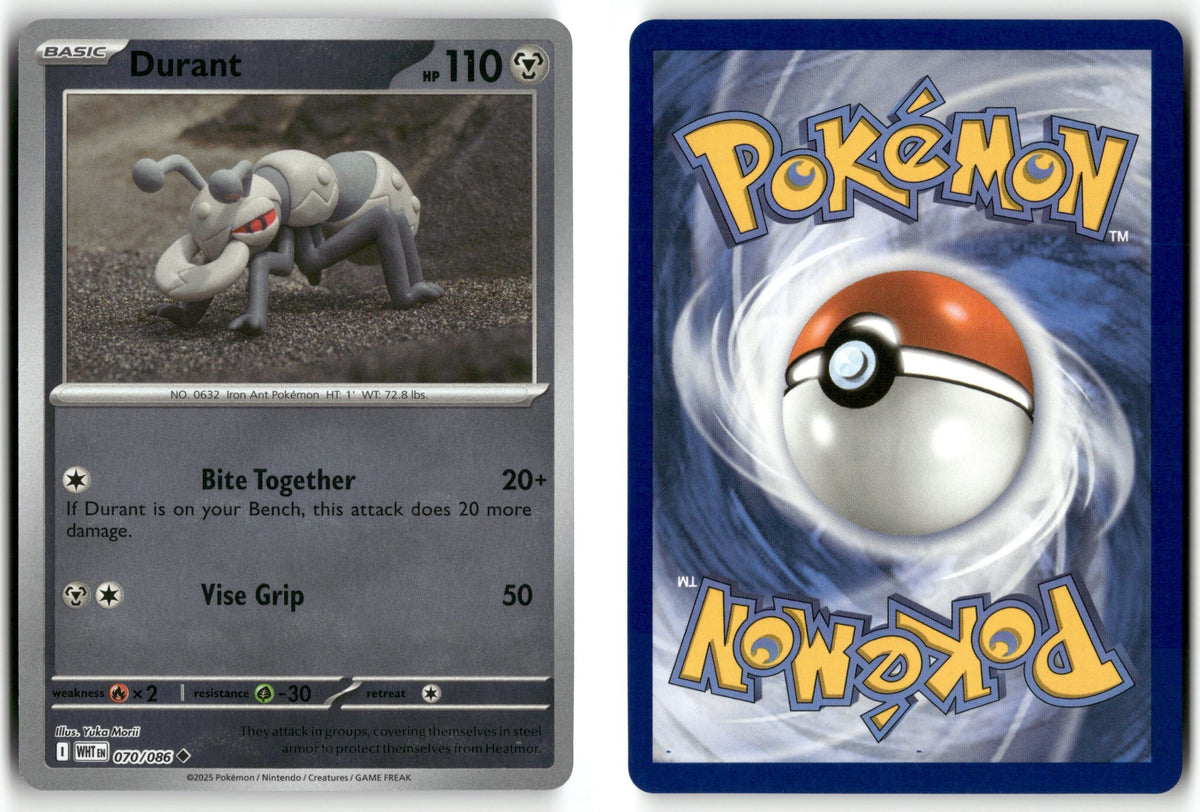 Front + Back scan | Near Mint / English / Holofoil