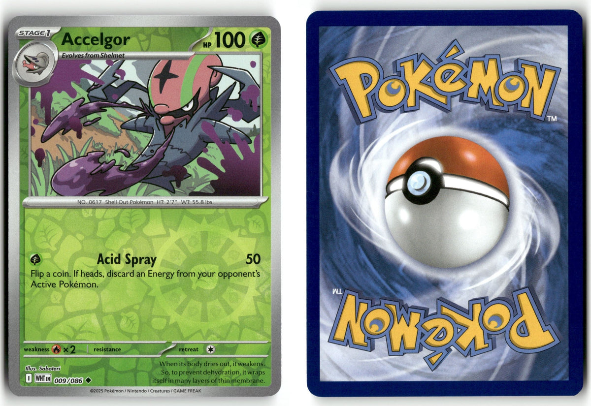 Front + Back scan | Near Mint / English / Reverse Holofoil