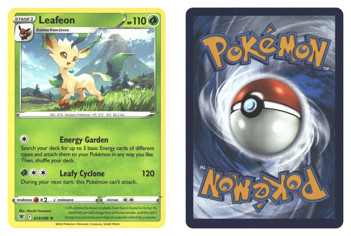 Front + Back scan | Near Mint / English / Normal