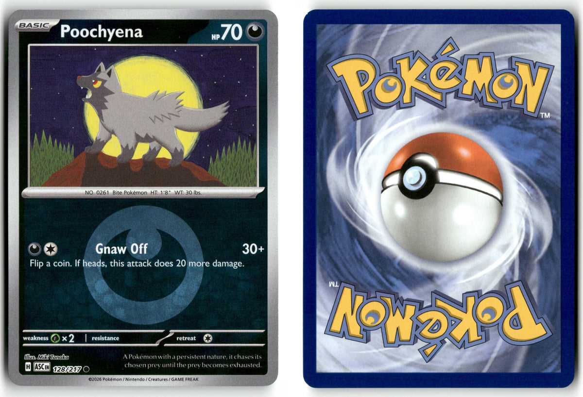 Front + Back scan | Near Mint / English / Reverse Holofoil