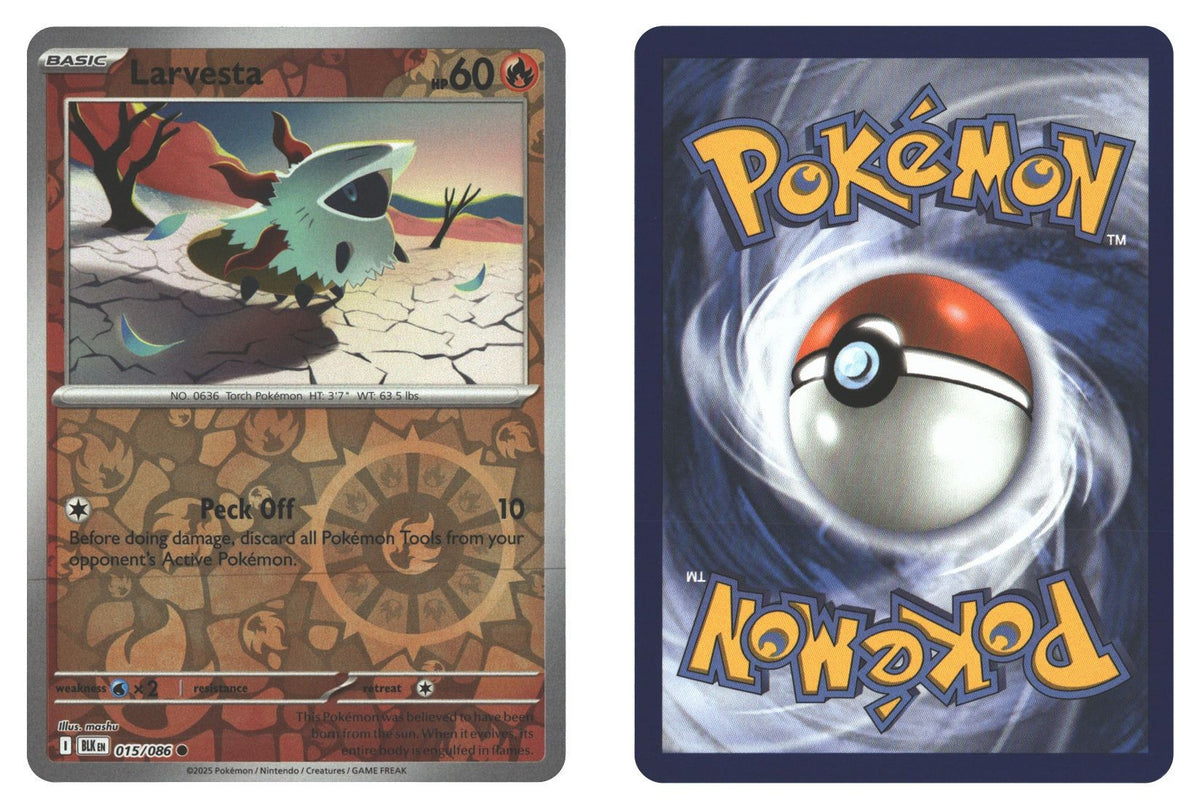 Front + Back scan | Near Mint / English / Reverse Holofoil