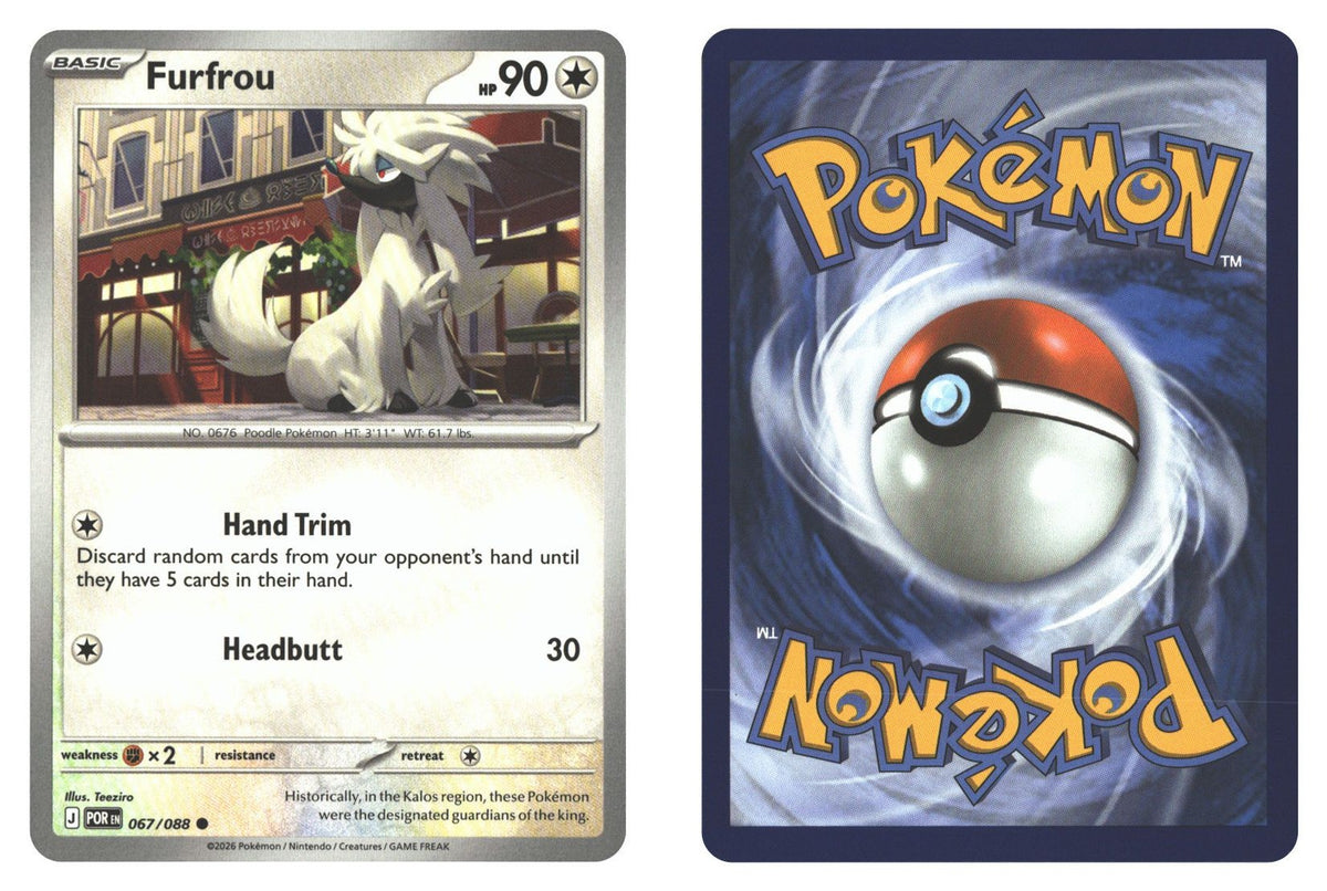 Front + Back scan | Near Mint / English / Normal