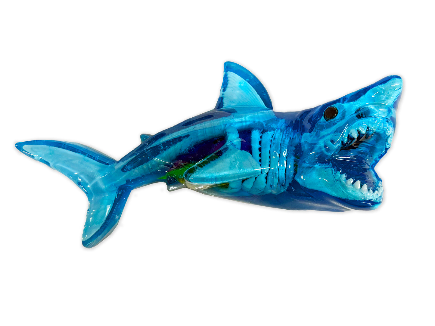 Dissect-It Super Shark Lab